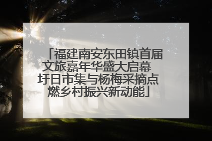 福建南安东田镇首届文旅嘉年华盛大启幕 圩日市集与杨梅采摘点燃乡村振兴新动能