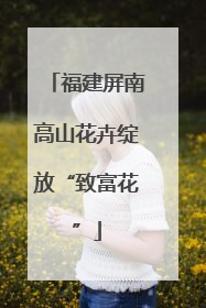 福建屏南高山花卉绽放“致富花”