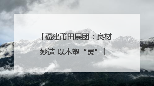 福建莆田展团：良材妙造 以木塑“灵”