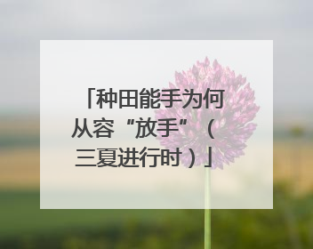 种田能手为何从容“放手”（三夏进行时）