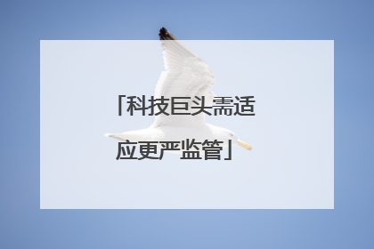 科技巨头需适应更严监管