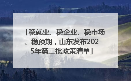 稳就业、稳企业、稳市场、稳预期，山东发布2025年第二批政策清单
