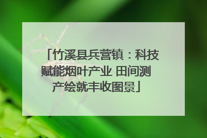竹溪县兵营镇：科技赋能烟叶产业 田间测产绘就丰收图景