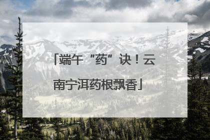 端午“药”诀！云南宁洱药根飘香