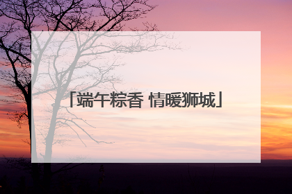 端午粽香 情暖狮城