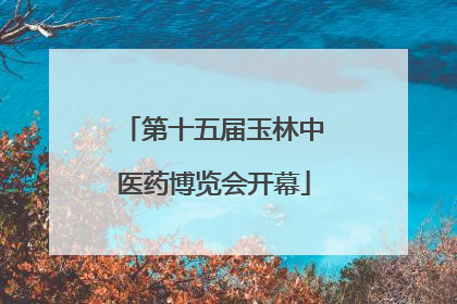 第十五届玉林中医药博览会开幕