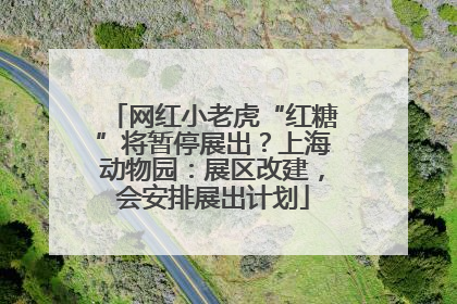 网红小老虎“红糖”将暂停展出？上海动物园：展区改建，会安排展出计划