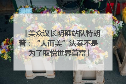美众议长明确站队特朗普：“大而美”法案不是为了取悦世界首富