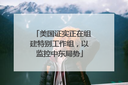 美国证实正在组建特别工作组，以监控中东局势