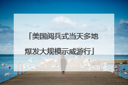 美国阅兵式当天多地爆发大规模示威游行