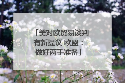 美对欧贸易谈判有新提议 欧盟：做好两手准备