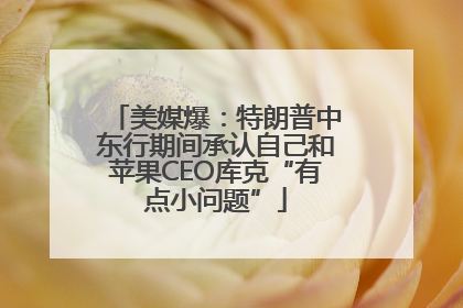 美媒爆：特朗普中东行期间承认自己和苹果CEO库克“有点小问题”