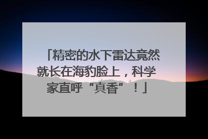 精密的水下雷达竟然就长在海豹脸上，科学家直呼“真香”！