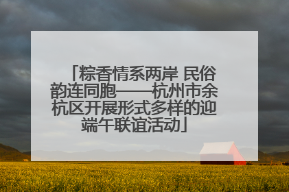 粽香情系两岸 民俗韵连同胞——杭州市余杭区开展形式多样的迎端午联谊活动