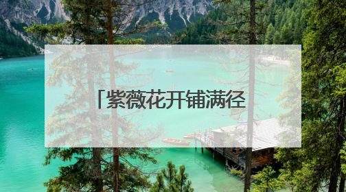 紫薇花开铺满径 诗画交融醉游人