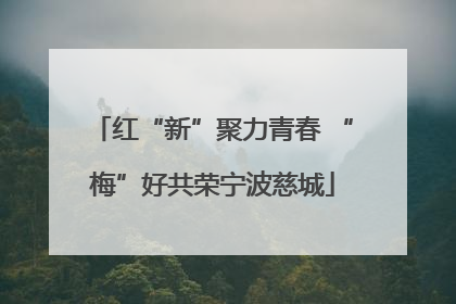 红“新”聚力青春 “梅”好共荣宁波慈城