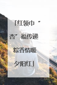 红领巾“杏”福传递 粽香情暖夕阳红