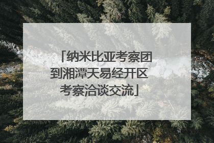 纳米比亚考察团到湘潭天易经开区考察洽谈交流