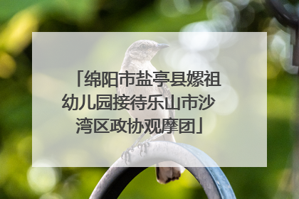 绵阳市盐亭县嫘祖幼儿园接待乐山市沙湾区政协观摩团