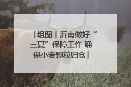 组图丨沂南做好“三夏”保障工作 确保小麦颗粒归仓