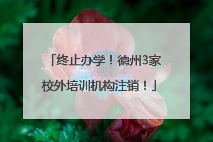 终止办学！德州3家校外培训机构注销！
