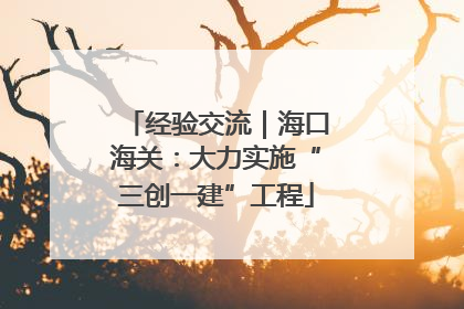 经验交流｜海口海关：大力实施“三创一建”工程