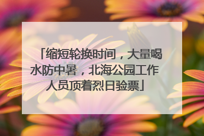 缩短轮换时间，大量喝水防中暑，北海公园工作人员顶着烈日验票