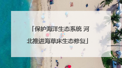 保护海洋生态系统 河北推进海草床生态修复