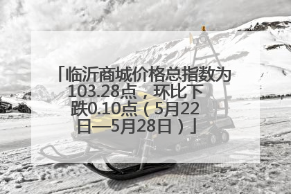 临沂商城价格总指数为103.28点，环比下跌0.10点（5月22日—5月28日）
