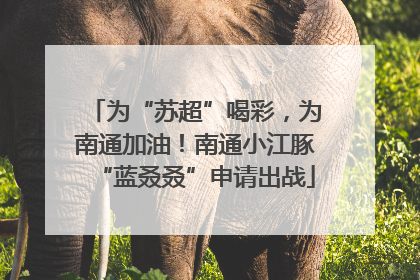 为“苏超”喝彩，为南通加油！南通小江豚“蓝叒叒”申请出战