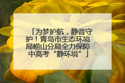 为梦护航，静音守护！青岛市生态环境局崂山分局全力保障中高考“静环境”