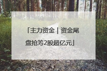主力资金｜资金尾盘抢筹2股超亿元
