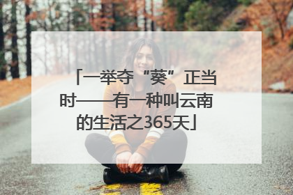 一举夺“葵”正当时——有一种叫云南的生活之365天
