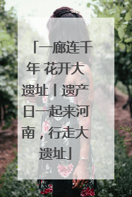一廊连千年 花开大遗址丨遗产日一起来河南，行走大遗址