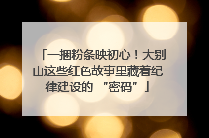 一捆粉条映初心！大别山这些红色故事里藏着纪律建设的 “密码”