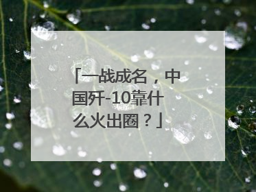 一战成名，中国歼-10靠什么火出圈？