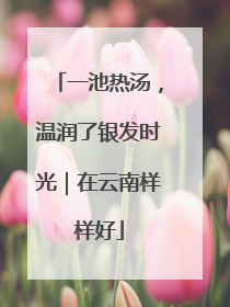 一池热汤，温润了银发时光｜在云南样样好