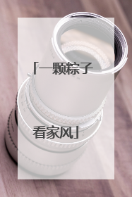 一颗粽子看家风