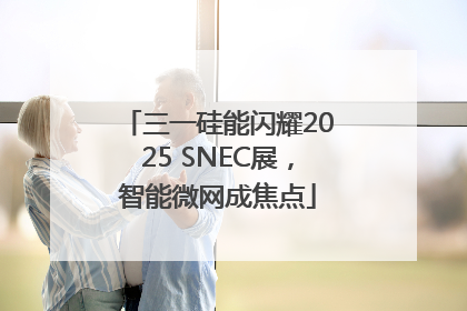 三一硅能闪耀2025 SNEC展，智能微网成焦点