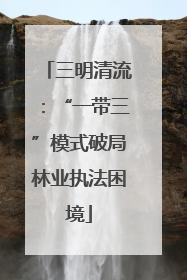 三明清流：“一带三”模式破局林业执法困境
