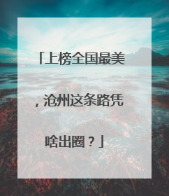 上榜全国最美，沧州这条路凭啥出圈？