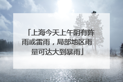 上海今天上午阴有阵雨或雷雨，局部地区雨量可达大到暴雨