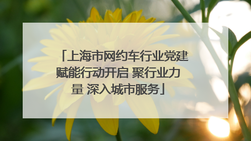 上海市网约车行业党建赋能行动开启 聚行业力量 深入城市服务