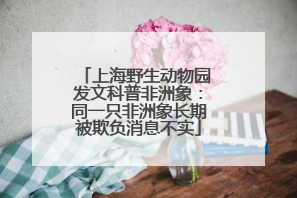 上海野生动物园发文科普非洲象：同一只非洲象长期被欺负消息不实