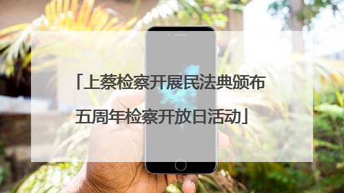 上蔡检察开展民法典颁布五周年检察开放日活动