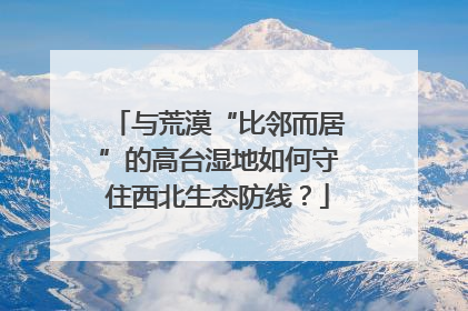与荒漠“比邻而居”的高台湿地如何守住西北生态防线？