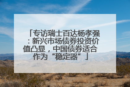 专访瑞士百达杨孝强：新兴市场债券投资价值凸显，中国债券适合作为“稳定器”