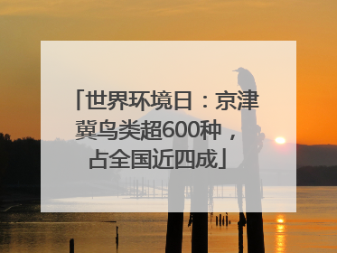 世界环境日：京津冀鸟类超600种，占全国近四成
