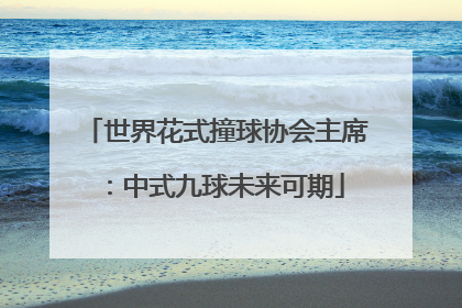 世界花式撞球协会主席：中式九球未来可期