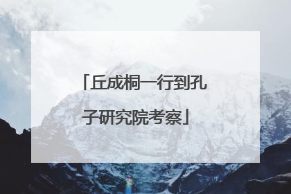 丘成桐一行到孔子研究院考察